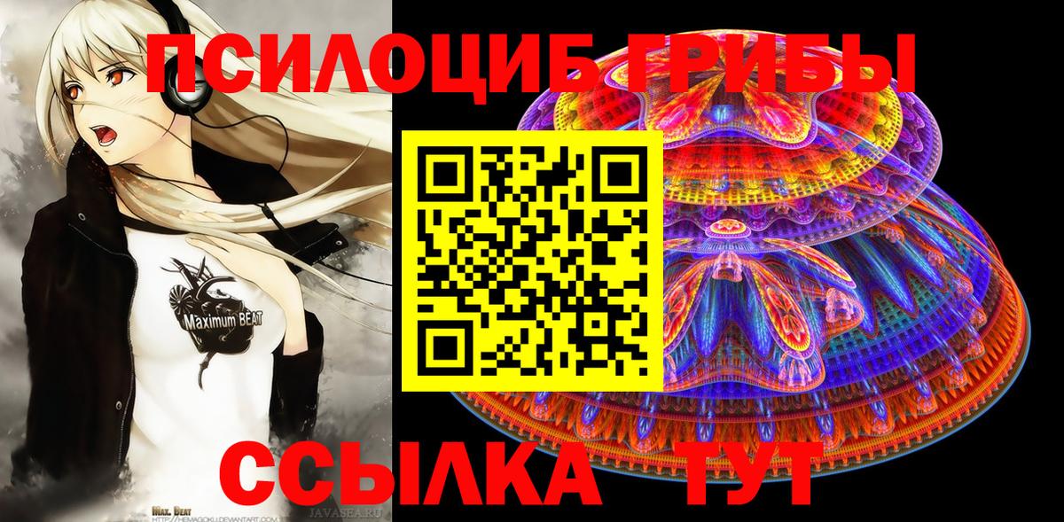Псилоцибиновые грибы GOLDEN TEACHER Зеленогорск